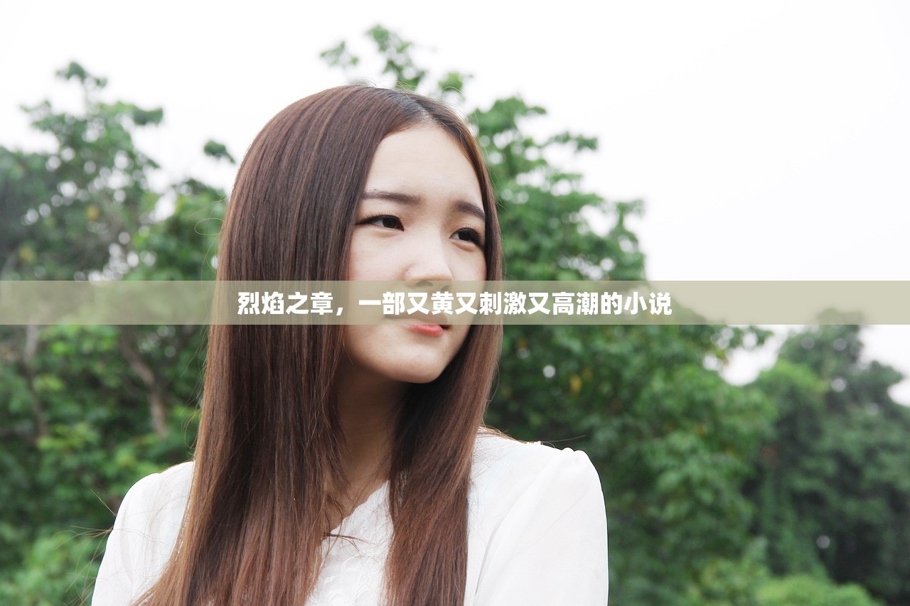 烈焰之章，一部又黄又刺激又高潮的小说