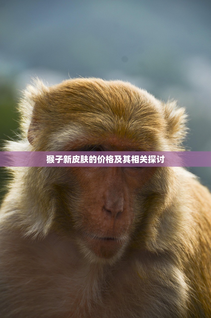 猴子新皮肤的价格及其相关探讨