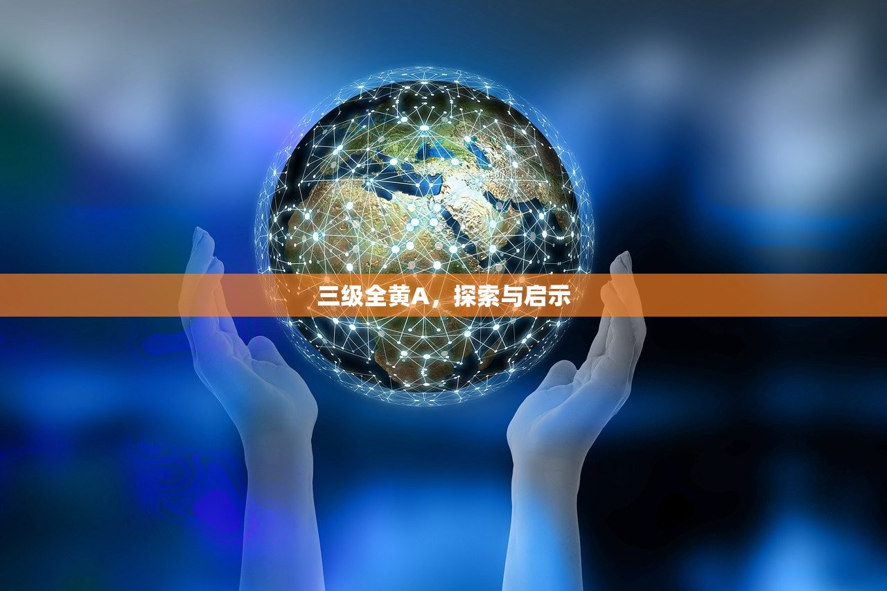 三级全黄A，探索与启示
