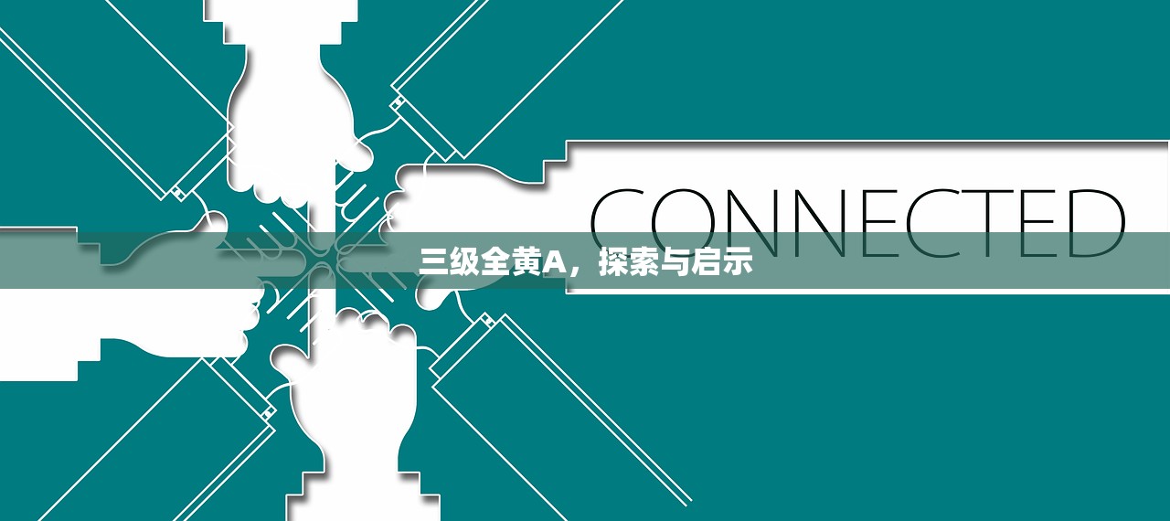 三级全黄A，探索与启示