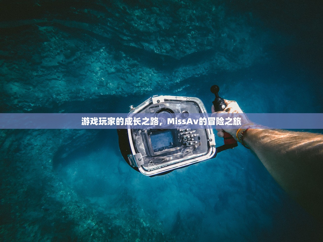 游戏玩家的成长之路，MissAv的冒险之旅