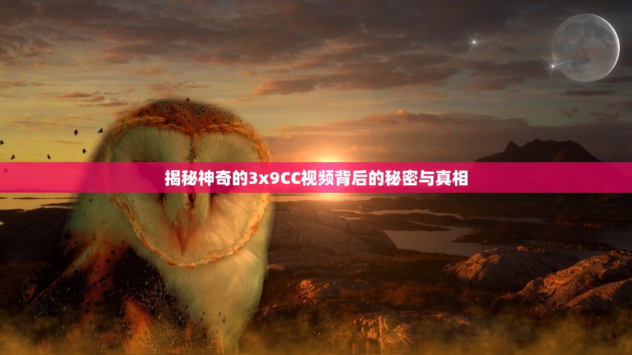 揭秘神奇的3x9CC视频背后的秘密与真相