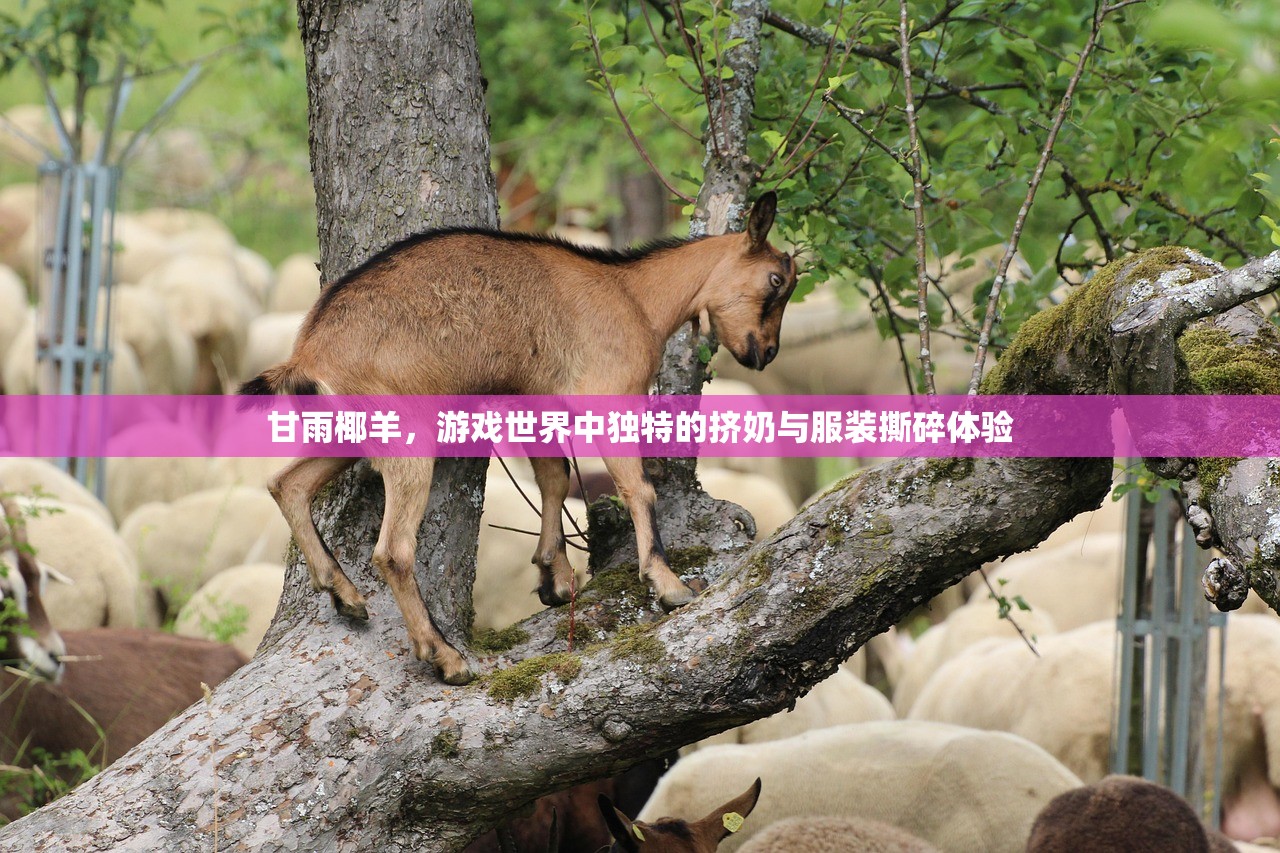 甘雨椰羊，游戏世界中独特的挤奶与服装撕碎体验