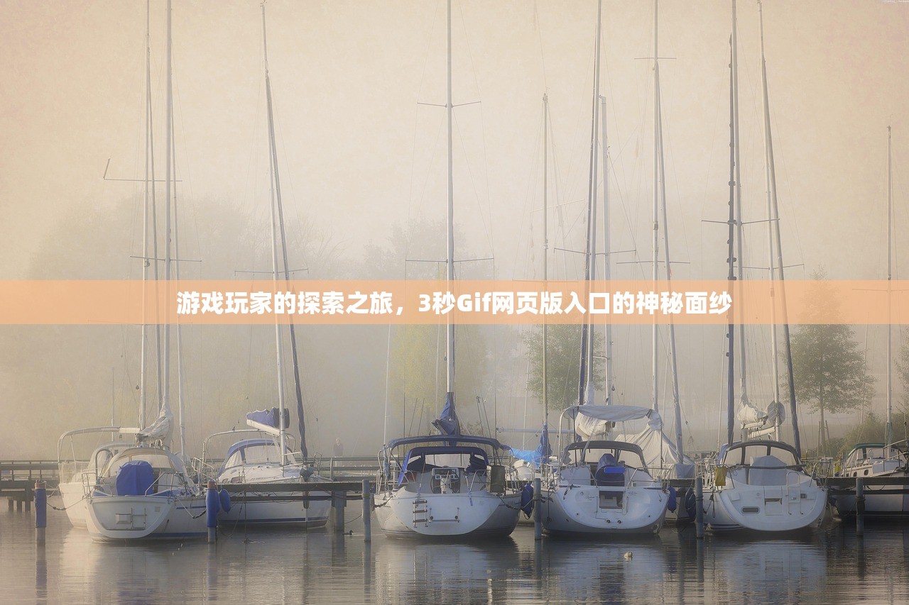 游戏玩家的探索之旅，3秒Gif网页版入口的神秘面纱