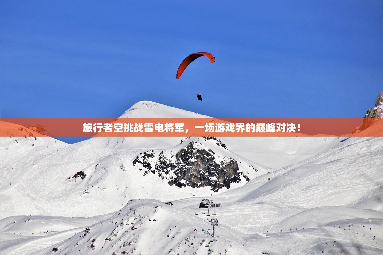 旅行者空挑战雷电将军，一场游戏界的巅峰对决！