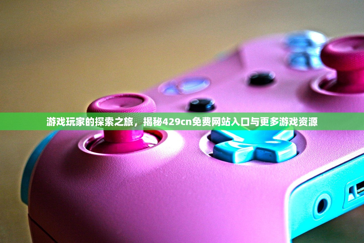 游戏玩家的探索之旅，揭秘429cn免费网站入口与更多游戏资源