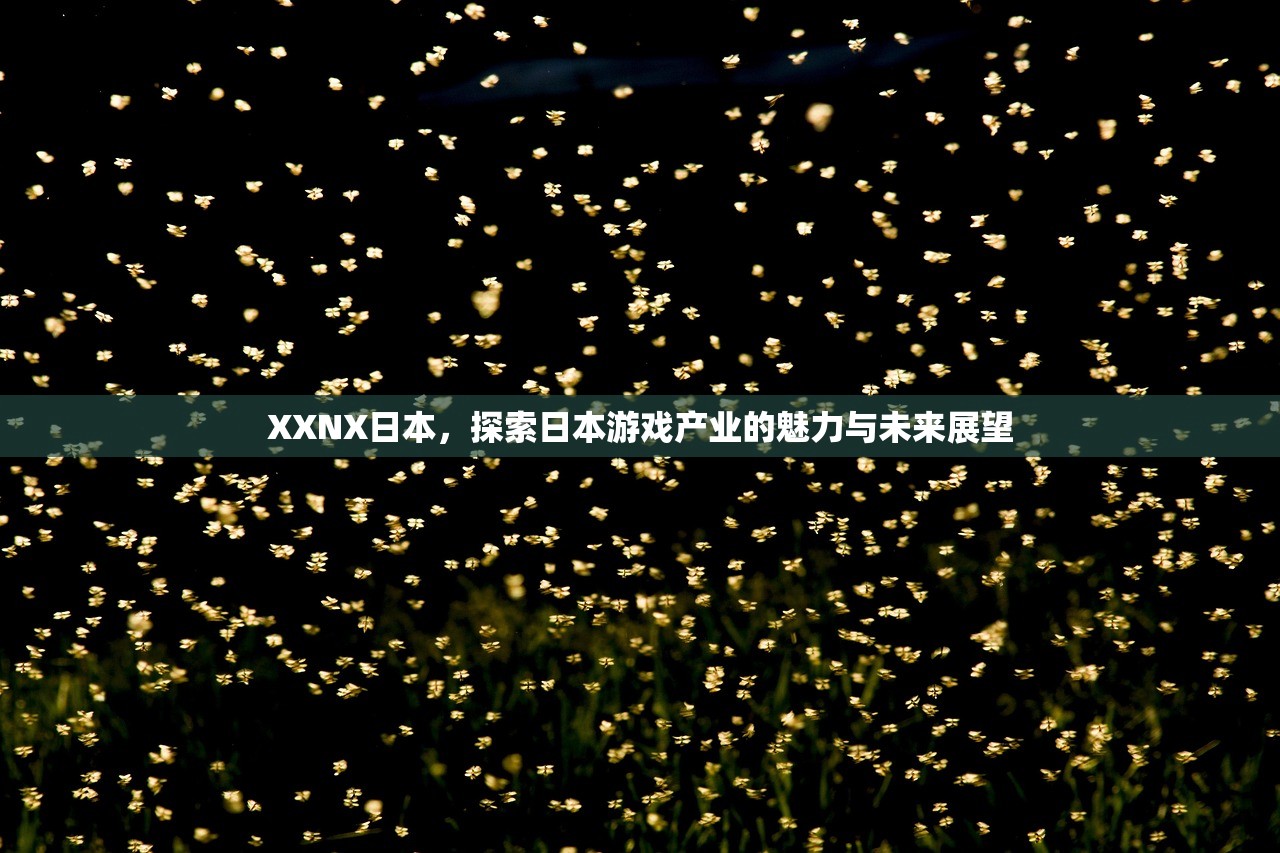 XXNX日本，探索日本游戏产业的魅力与未来展望