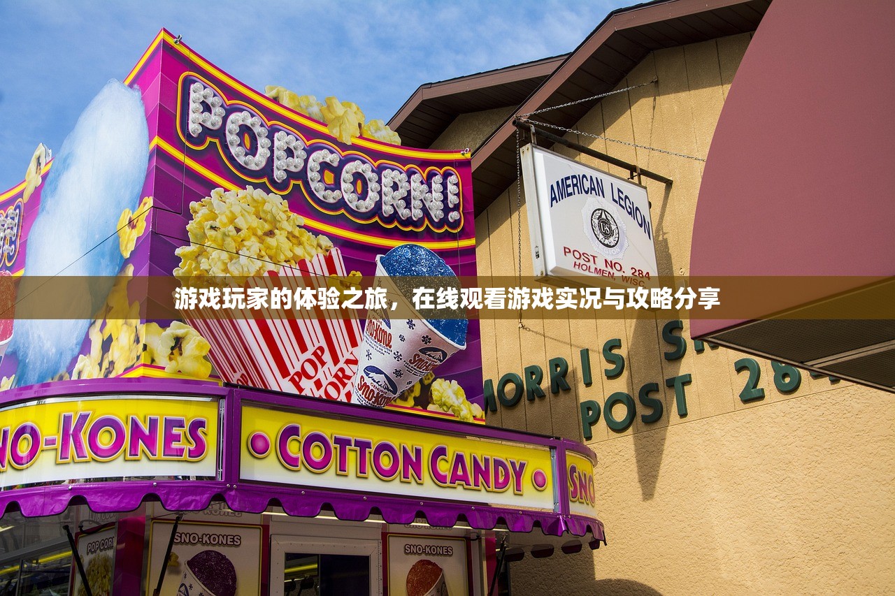 游戏玩家的体验之旅，在线观看游戏实况与攻略分享
