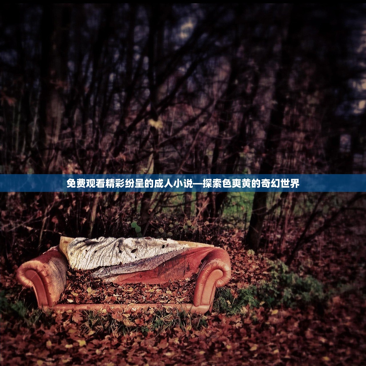 免费观看精彩纷呈的成人小说—探索色爽黄的奇幻世界