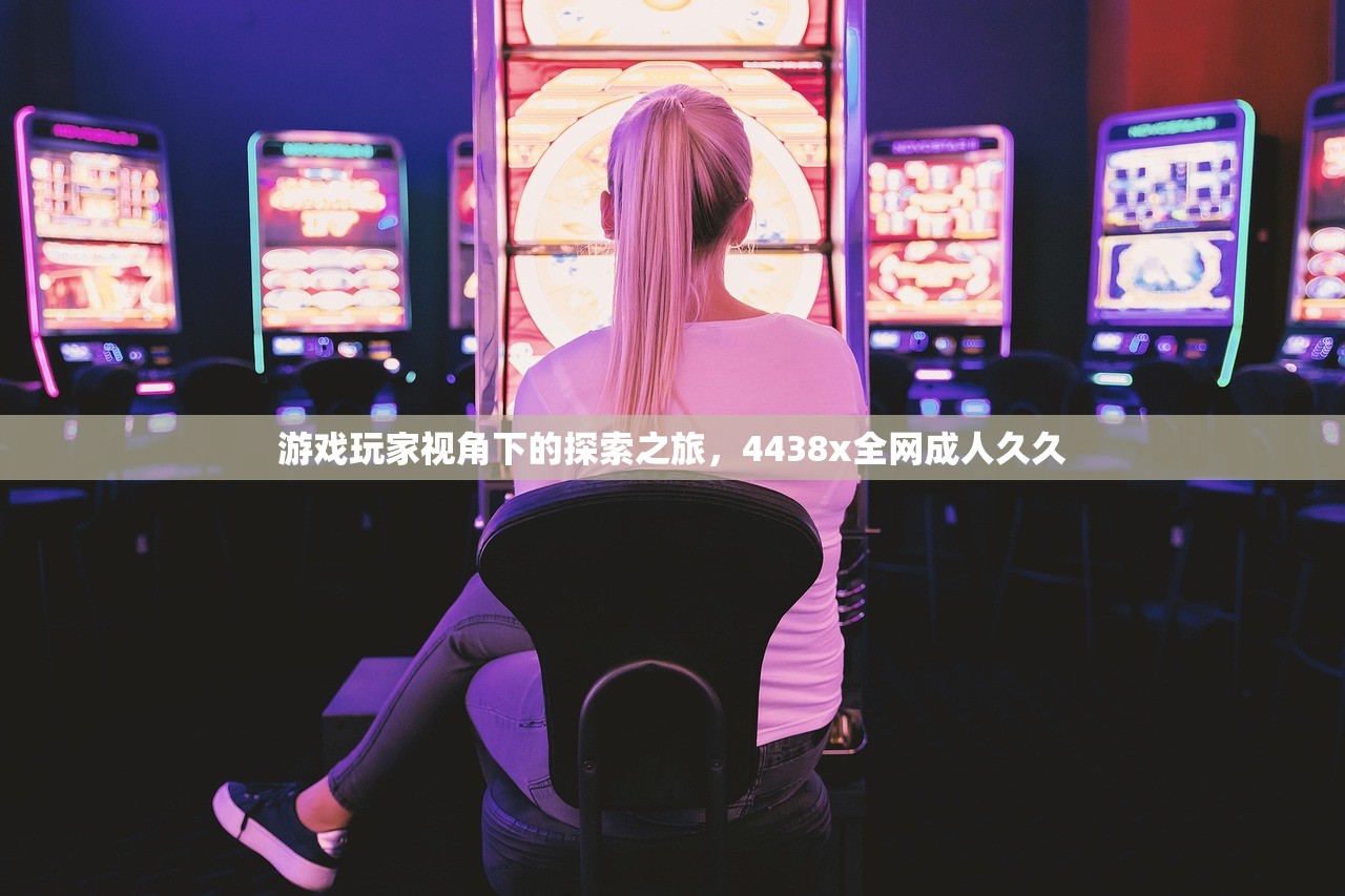 游戏玩家视角下的探索之旅，4438x全网成人久久
