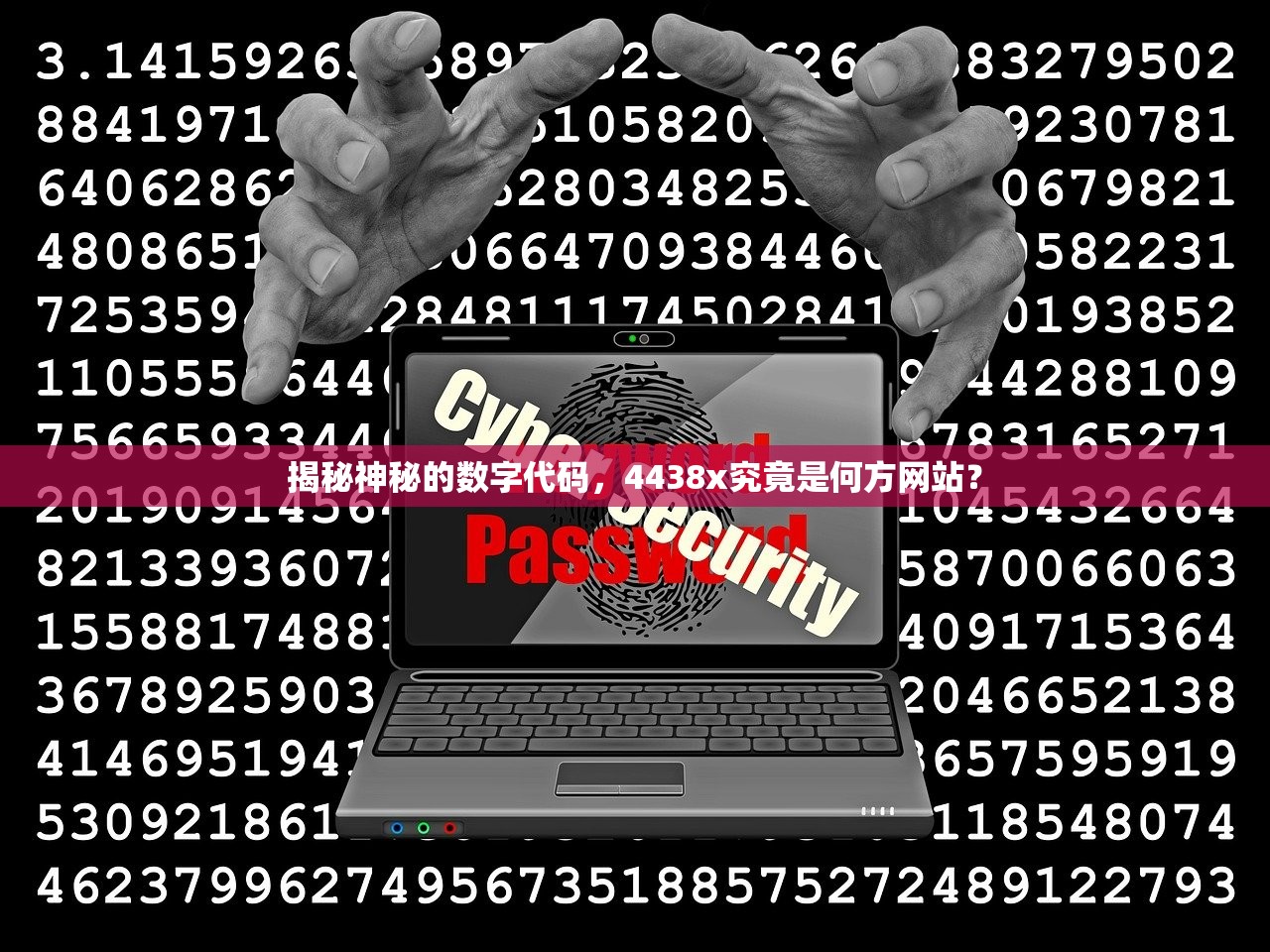 揭秘神秘的数字代码，4438x究竟是何方网站？