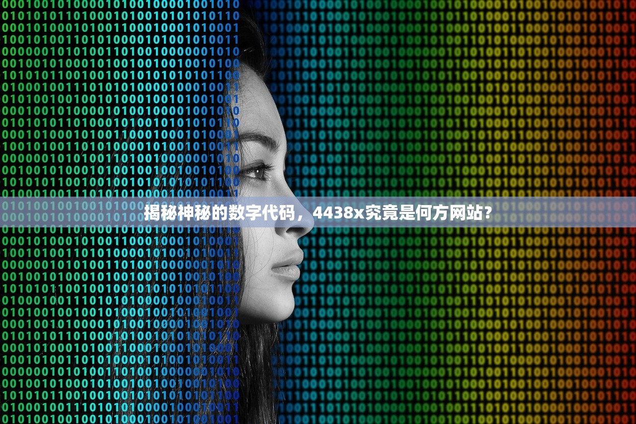 揭秘神秘的数字代码，4438x究竟是何方网站？