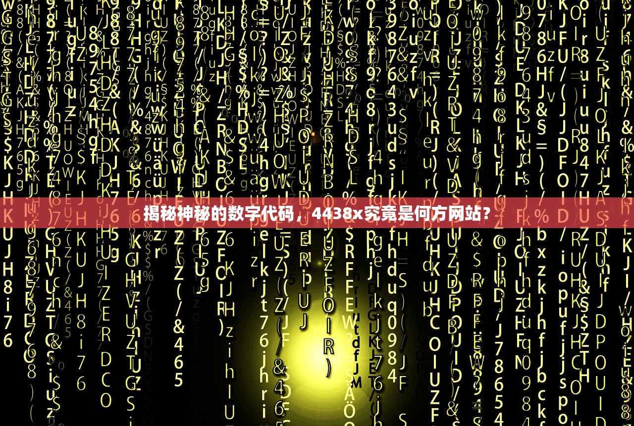 揭秘神秘的数字代码，4438x究竟是何方网站？