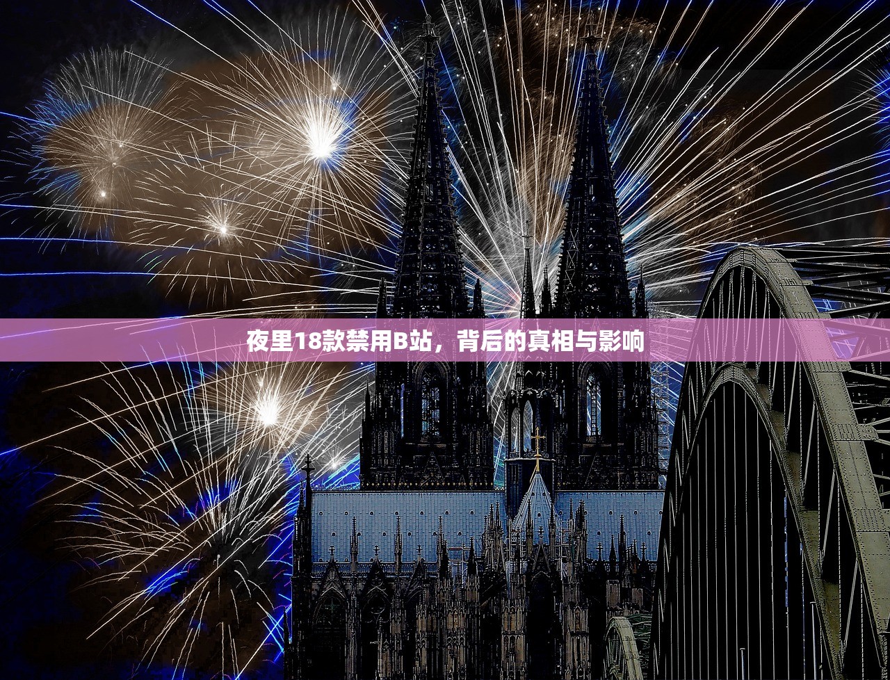 夜里18款禁用B站，背后的真相与影响