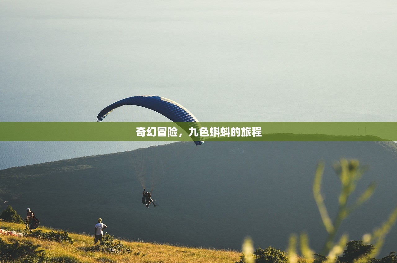 奇幻冒险，九色蝌蚪的旅程