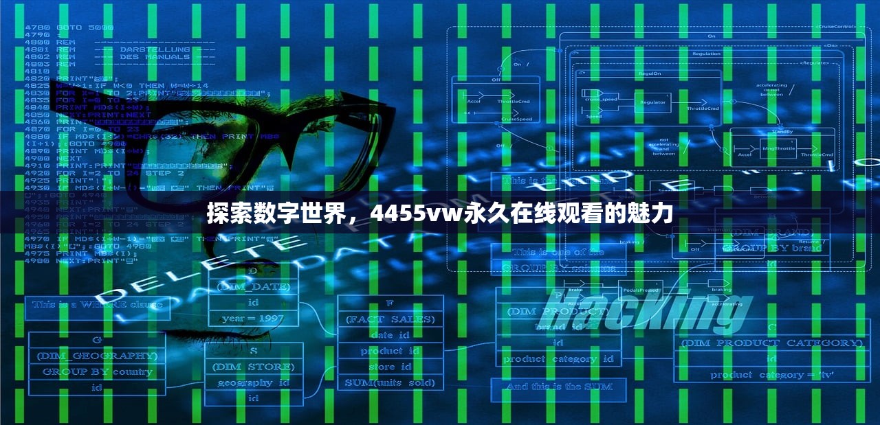 探索数字世界，4455vw永久在线观看的魅力