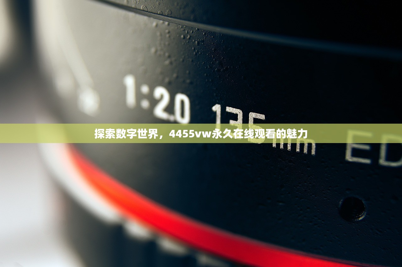 探索数字世界，4455vw永久在线观看的魅力
