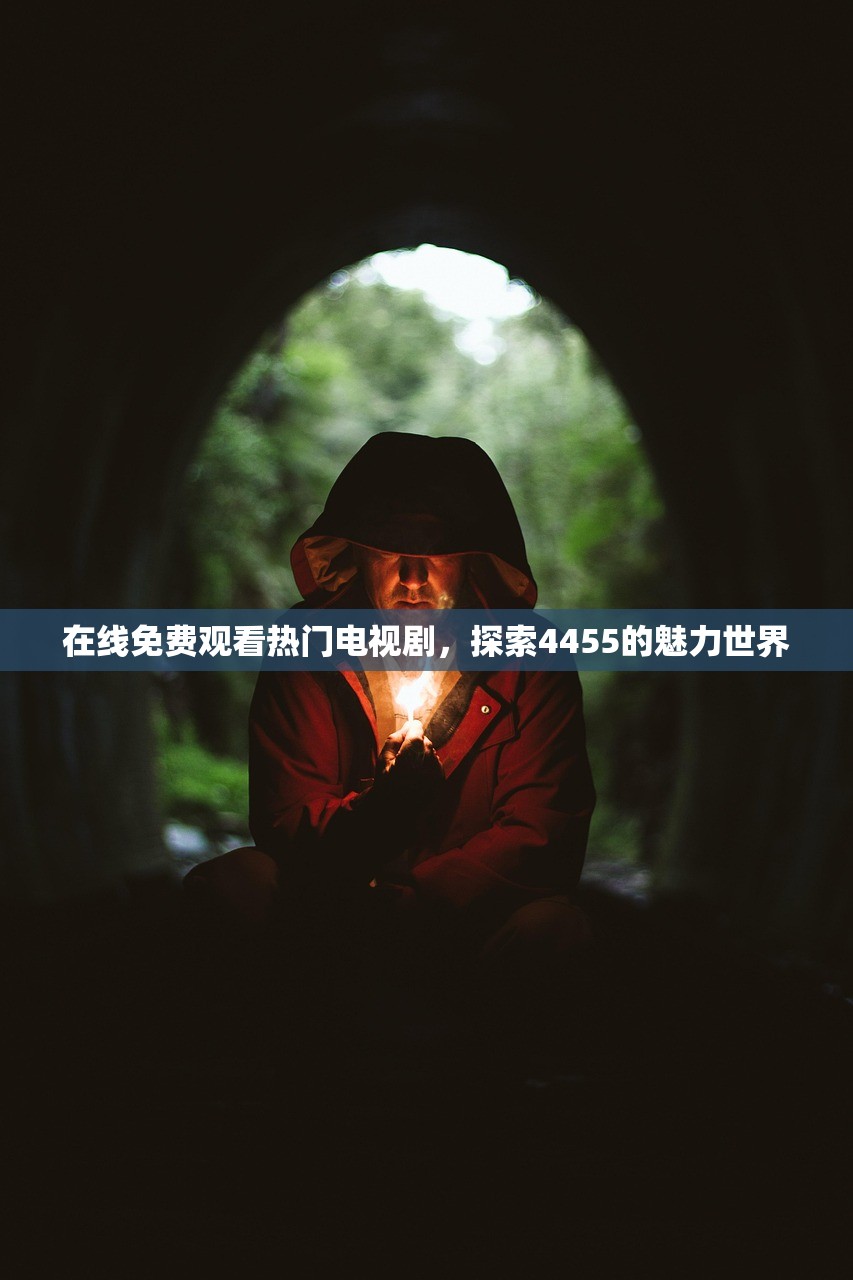 在线免费观看热门电视剧，探索4455的魅力世界