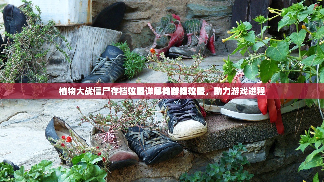 植物大战僵尸存档位置详解与游戏攻略
植物大战僵尸存档攻略，寻找存档位置，助力游戏进程