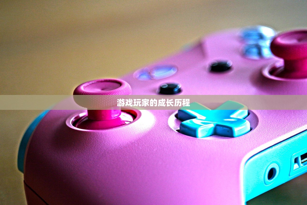 游戏玩家的成长历程