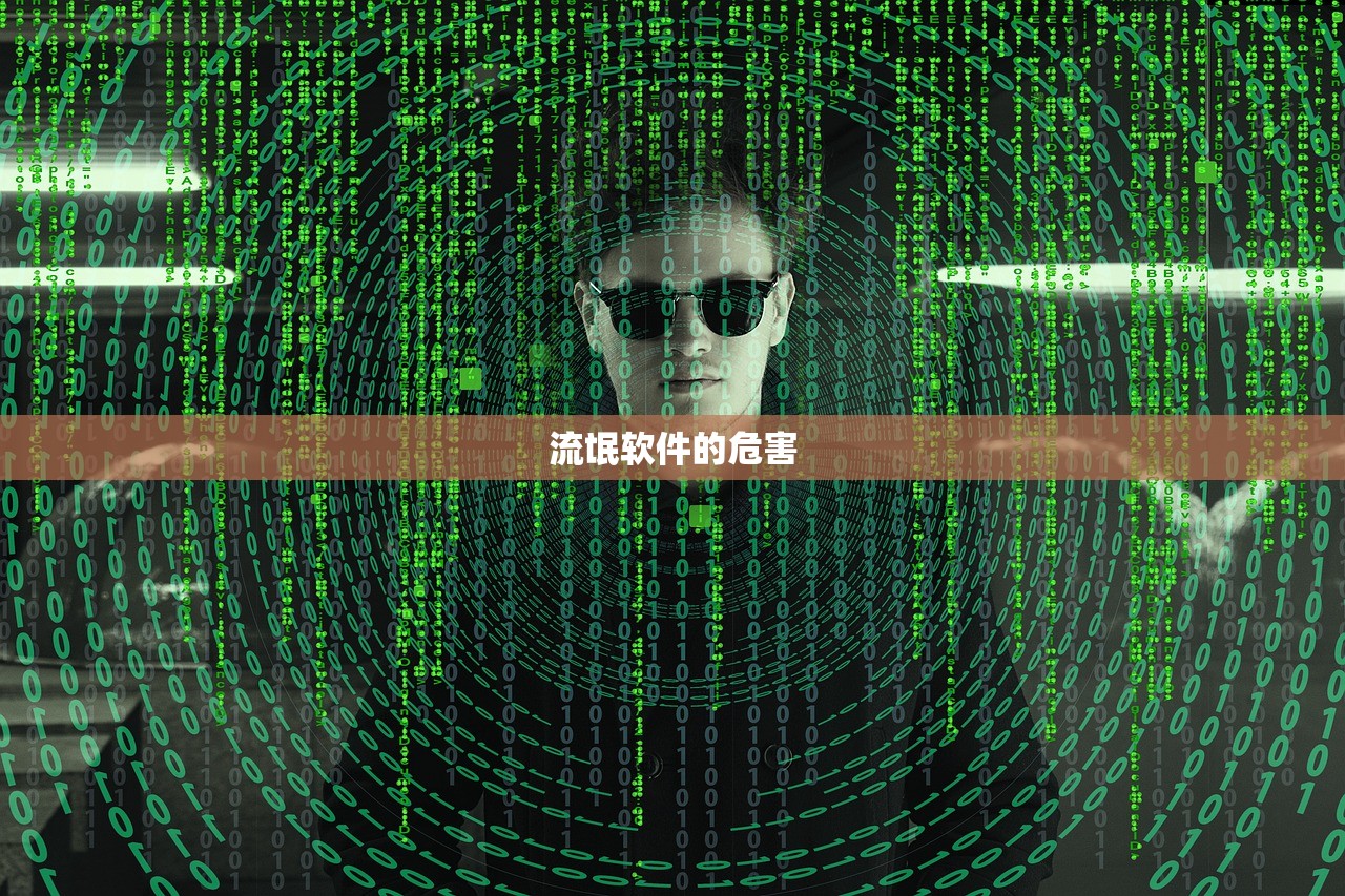 流氓软件的危害