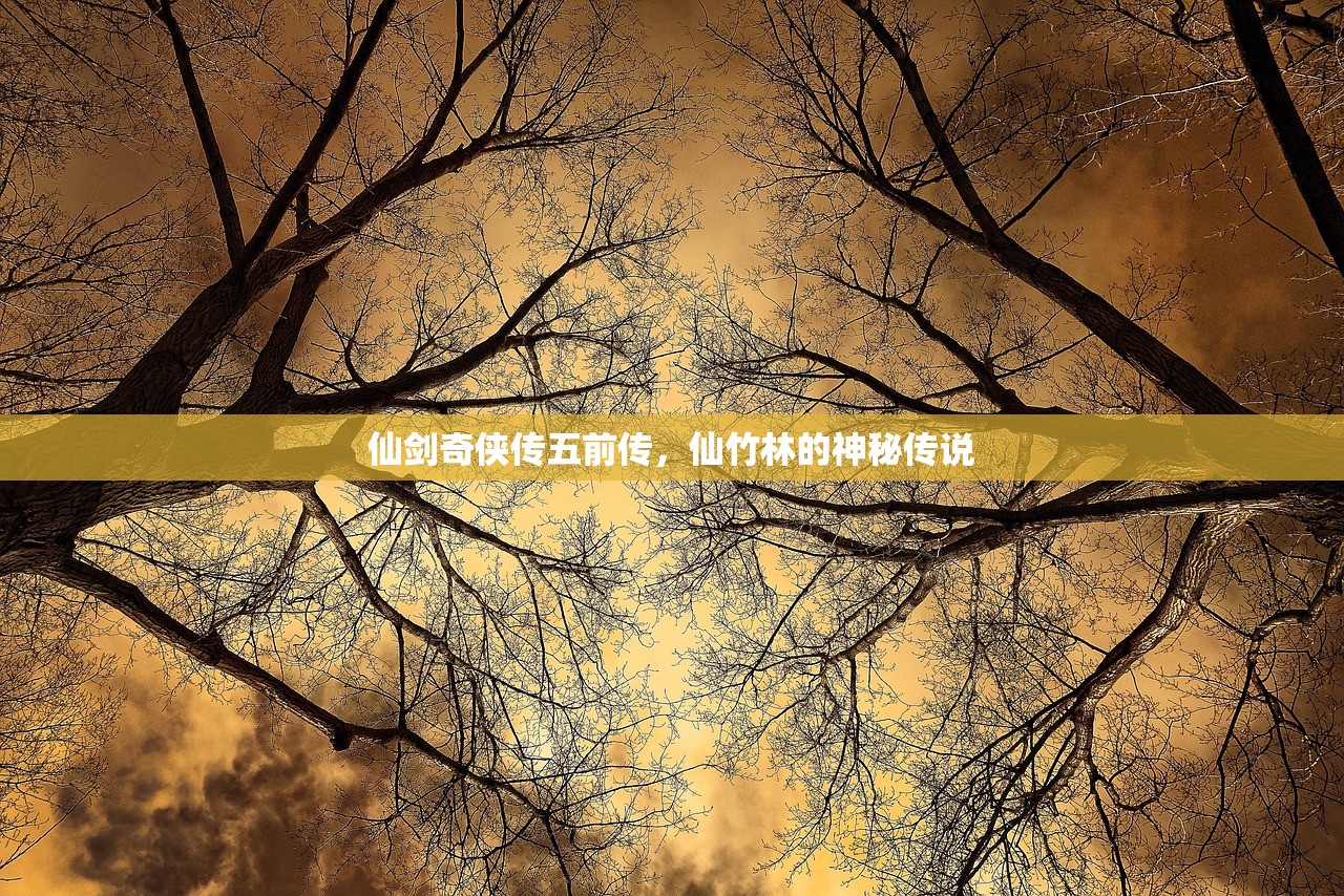 仙剑奇侠传五前传，仙竹林的神秘传说