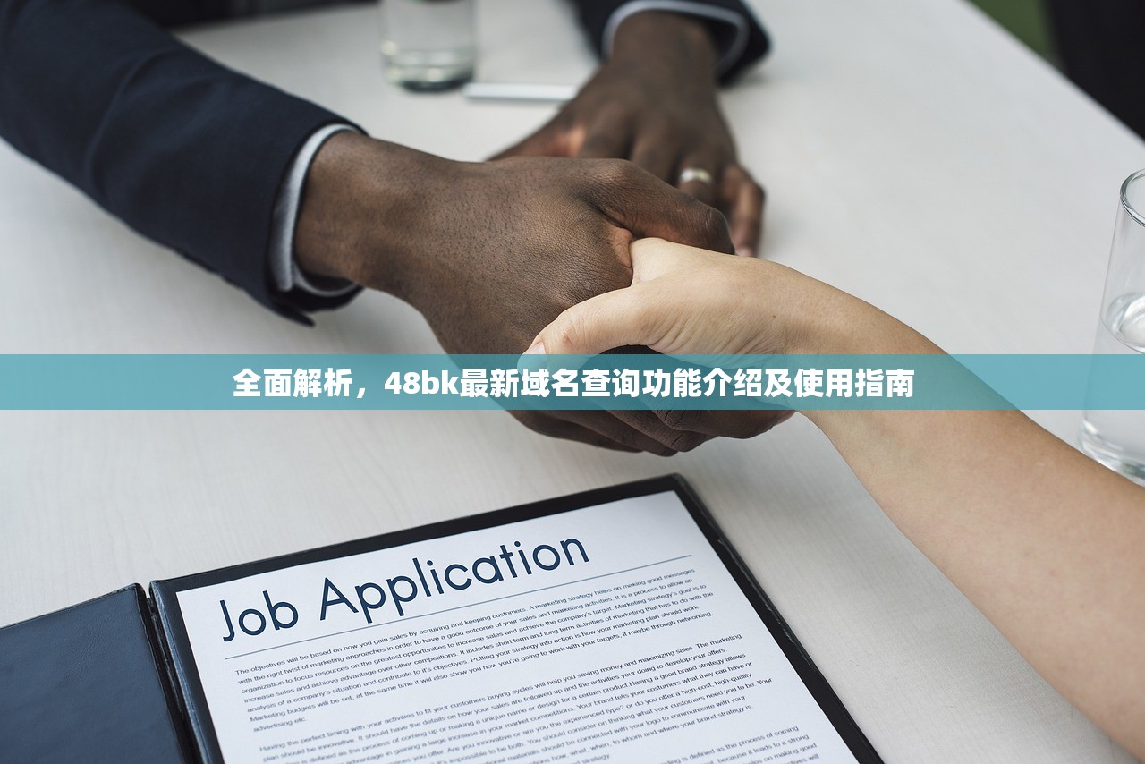 全面解析，48bk最新域名查询功能介绍及使用指南