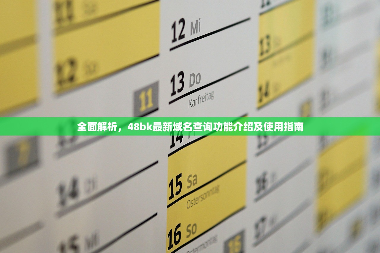 全面解析，48bk最新域名查询功能介绍及使用指南