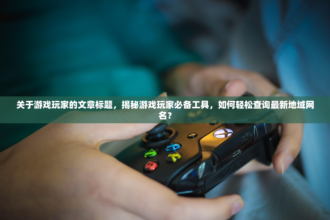 关于游戏玩家的文章标题，揭秘游戏玩家必备工具，如何轻松查询最新地域网名？