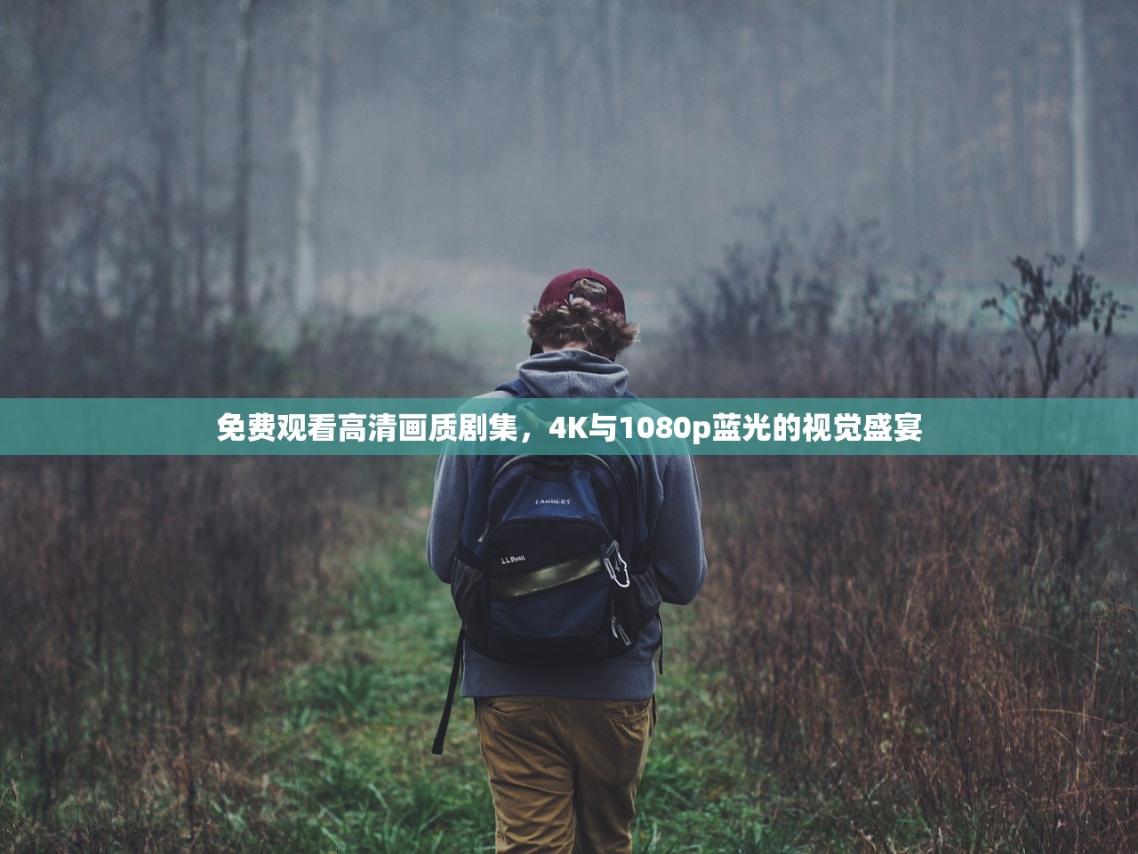 免费观看高清画质剧集，4K与1080p蓝光的视觉盛宴