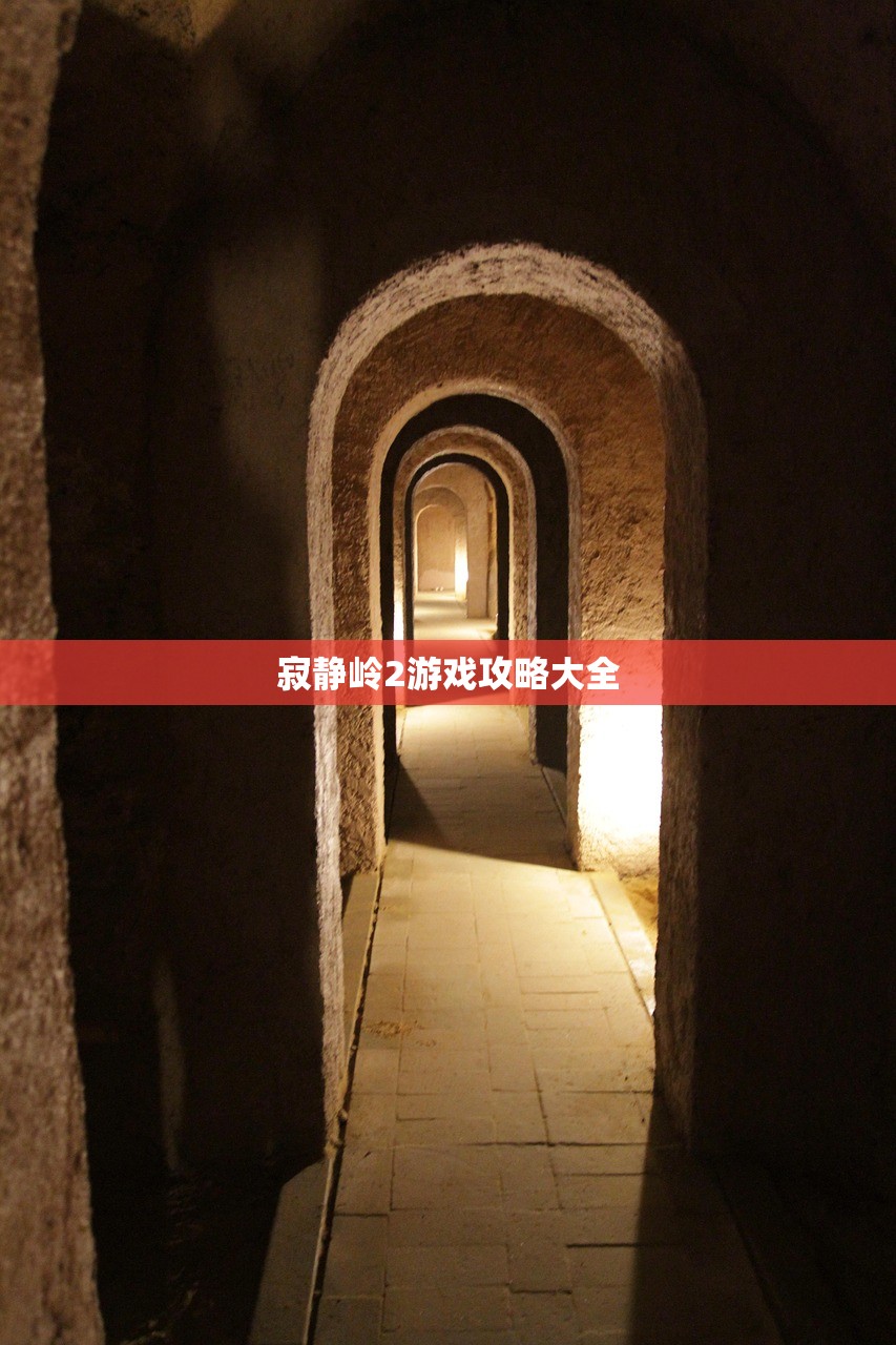 寂静岭2游戏攻略大全