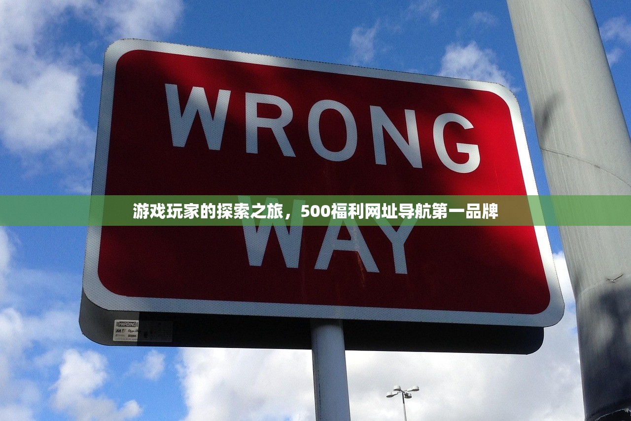 游戏玩家的探索之旅，500福利网址导航第一品牌