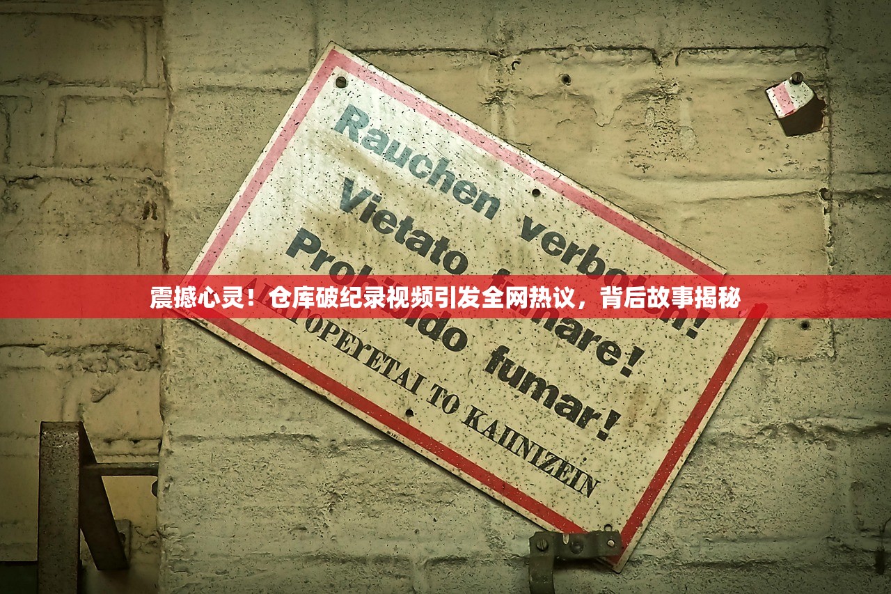 震撼心灵！仓库破纪录视频引发全网热议，背后故事揭秘