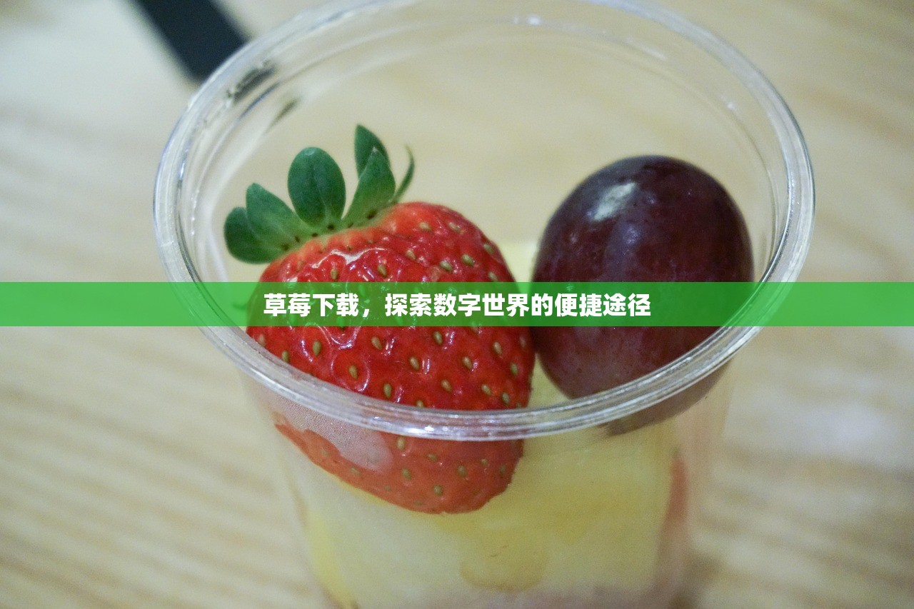 草莓下载，探索数字世界的便捷途径