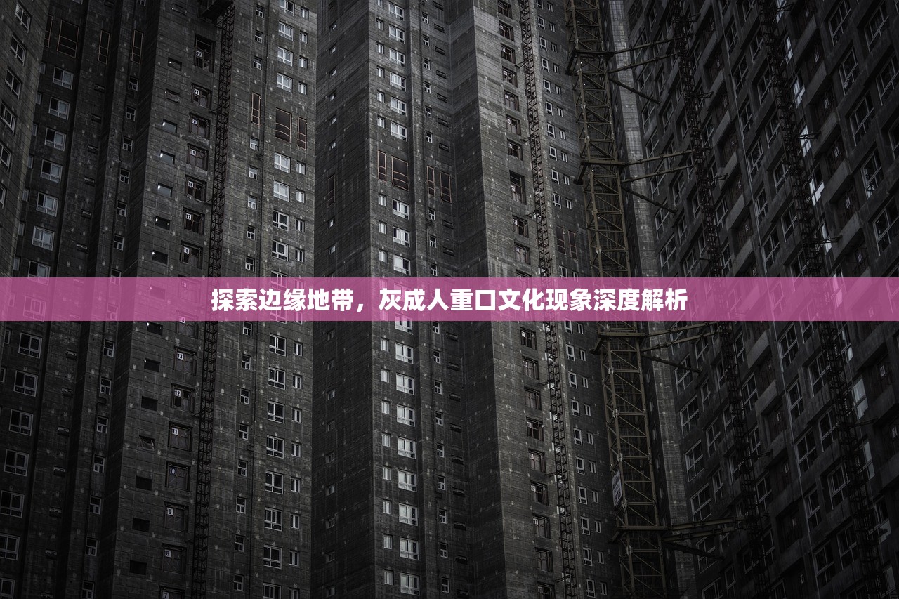 探索边缘地带，灰成人重口文化现象深度解析