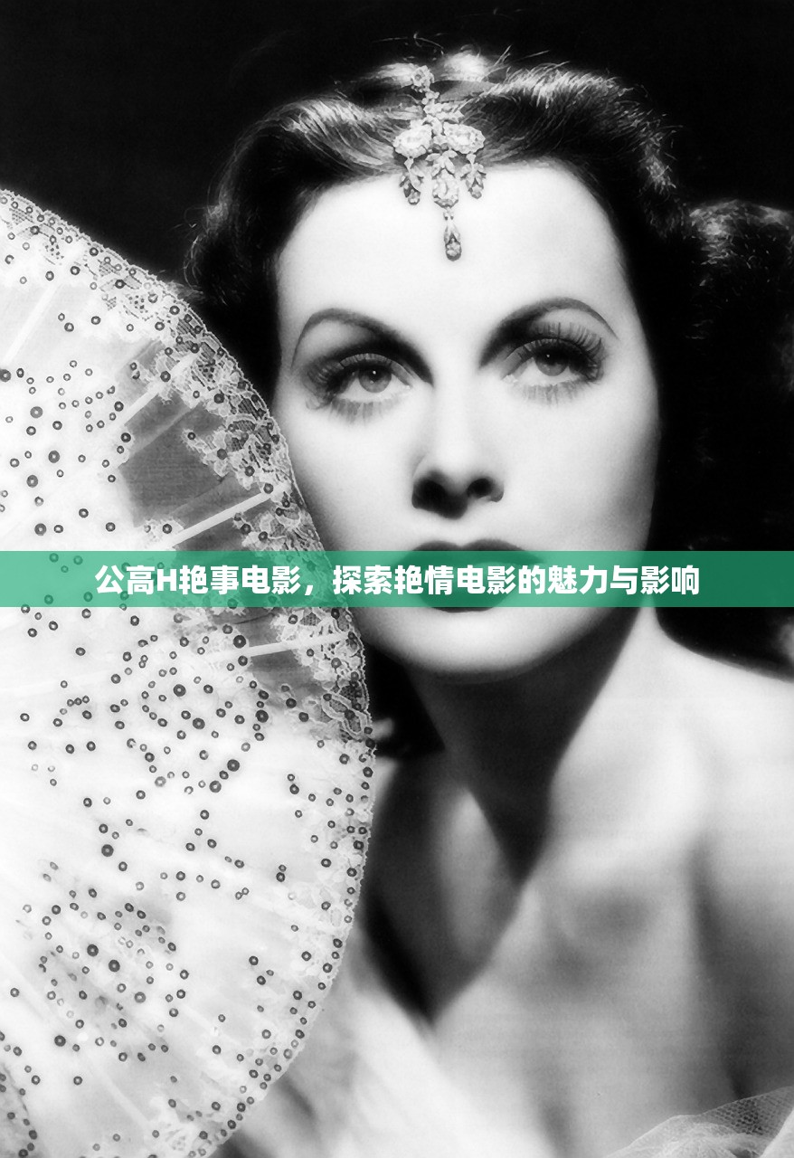 公高H艳事电影，探索艳情电影的魅力与影响