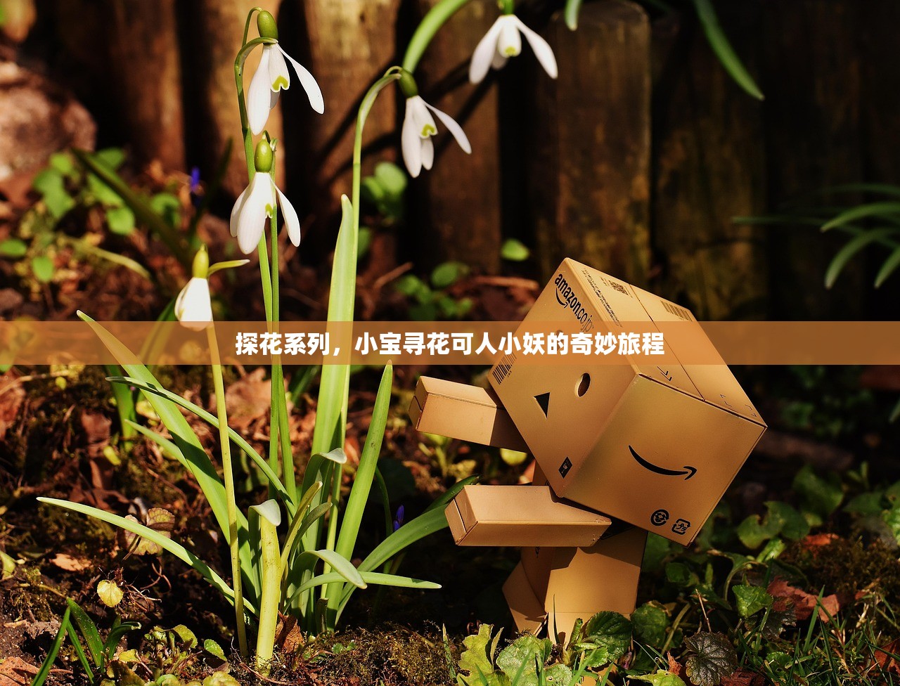 探花系列，小宝寻花可人小妖的奇妙旅程