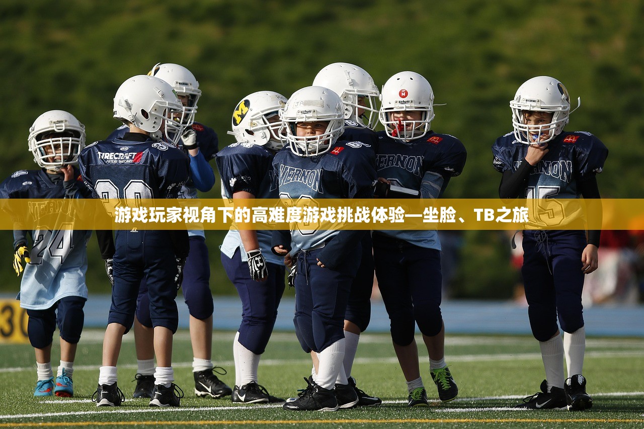 游戏玩家视角下的高难度游戏挑战体验—坐脸、TB之旅