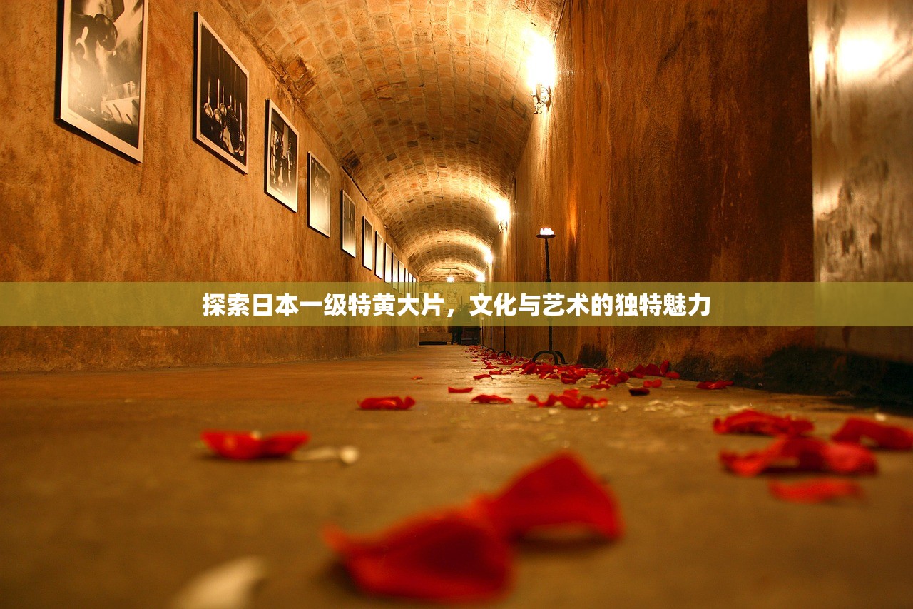 探索日本一级特黄大片，文化与艺术的独特魅力