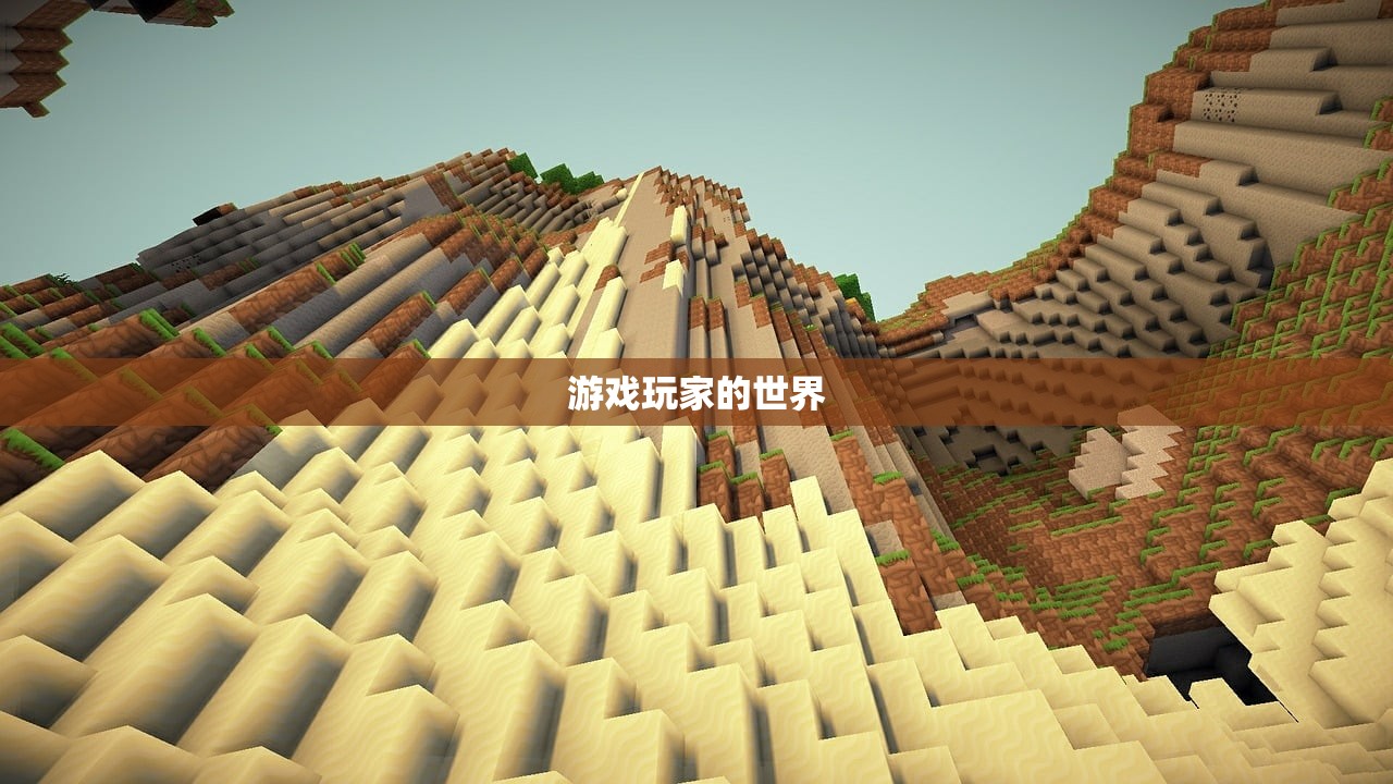 游戏玩家的世界