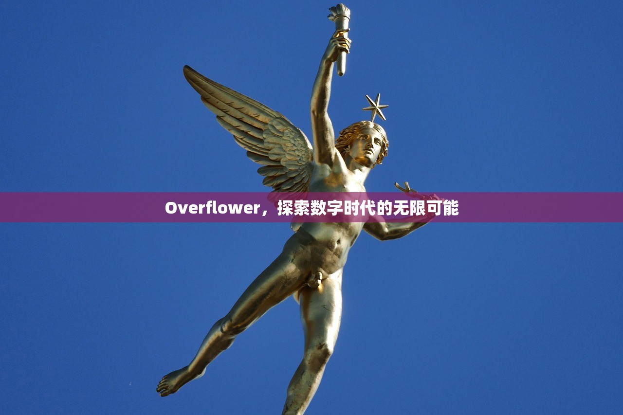 Overflower，探索数字时代的无限可能