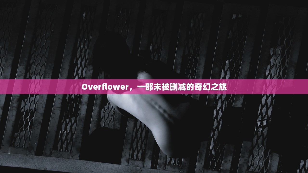 Overflower，一部未被删减的奇幻之旅