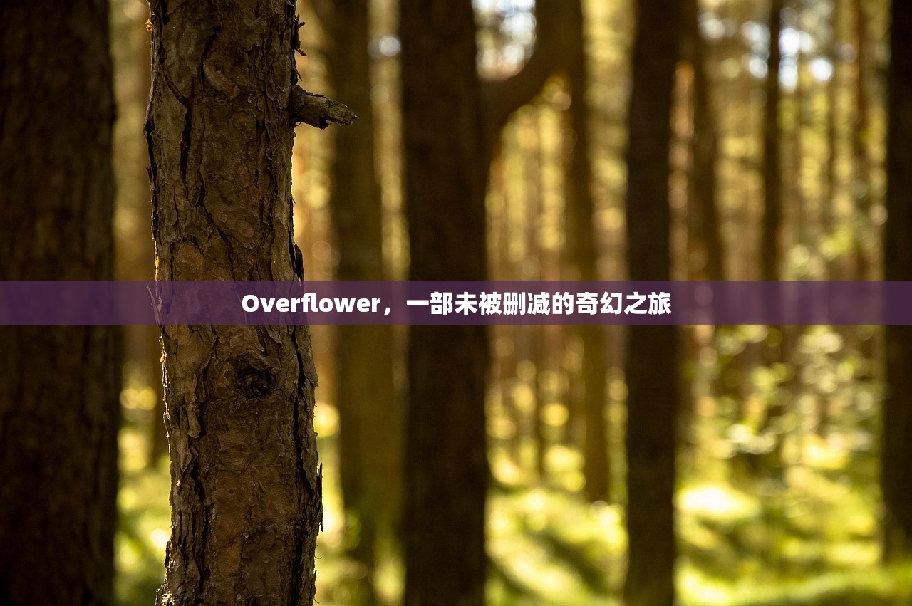 Overflower，一部未被删减的奇幻之旅