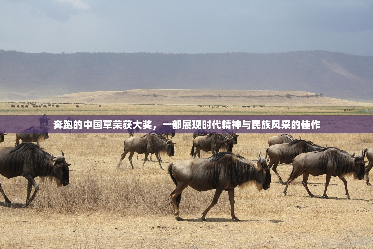 奔跑的中国草荣获大奖，一部展现时代精神与民族风采的佳作
