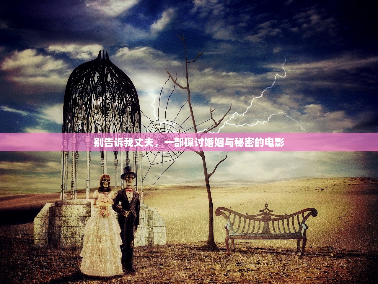 别告诉我丈夫，一部探讨婚姻与秘密的电影