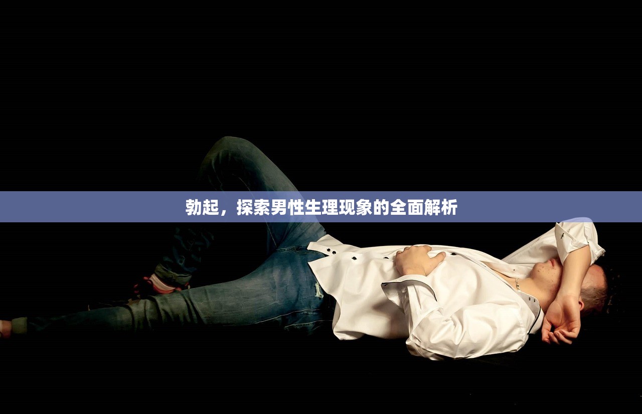 勃起，探索男性生理现象的全面解析