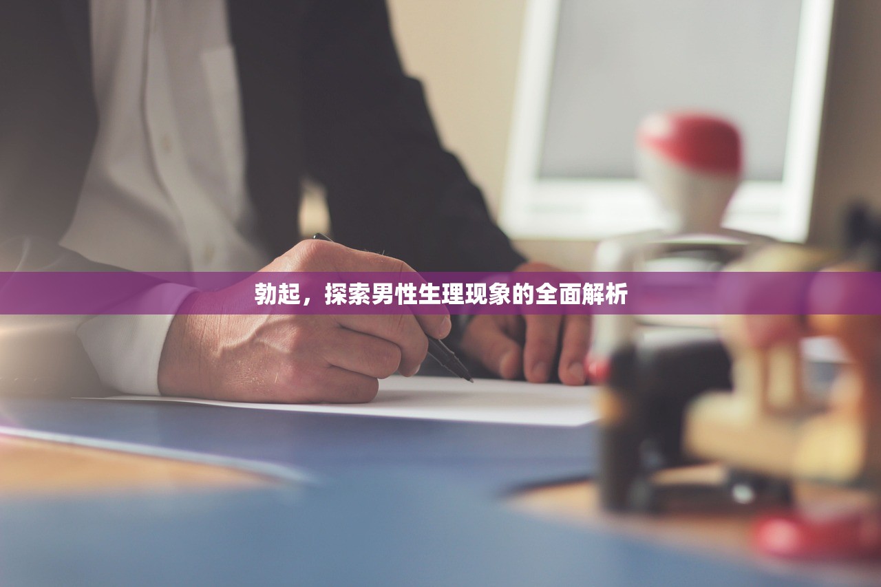 勃起，探索男性生理现象的全面解析
