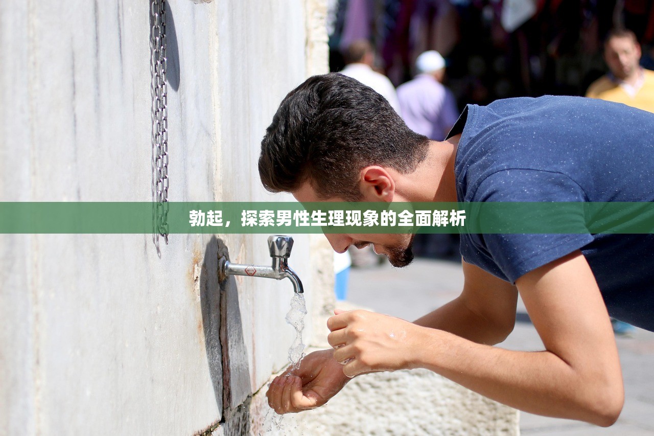 勃起，探索男性生理现象的全面解析