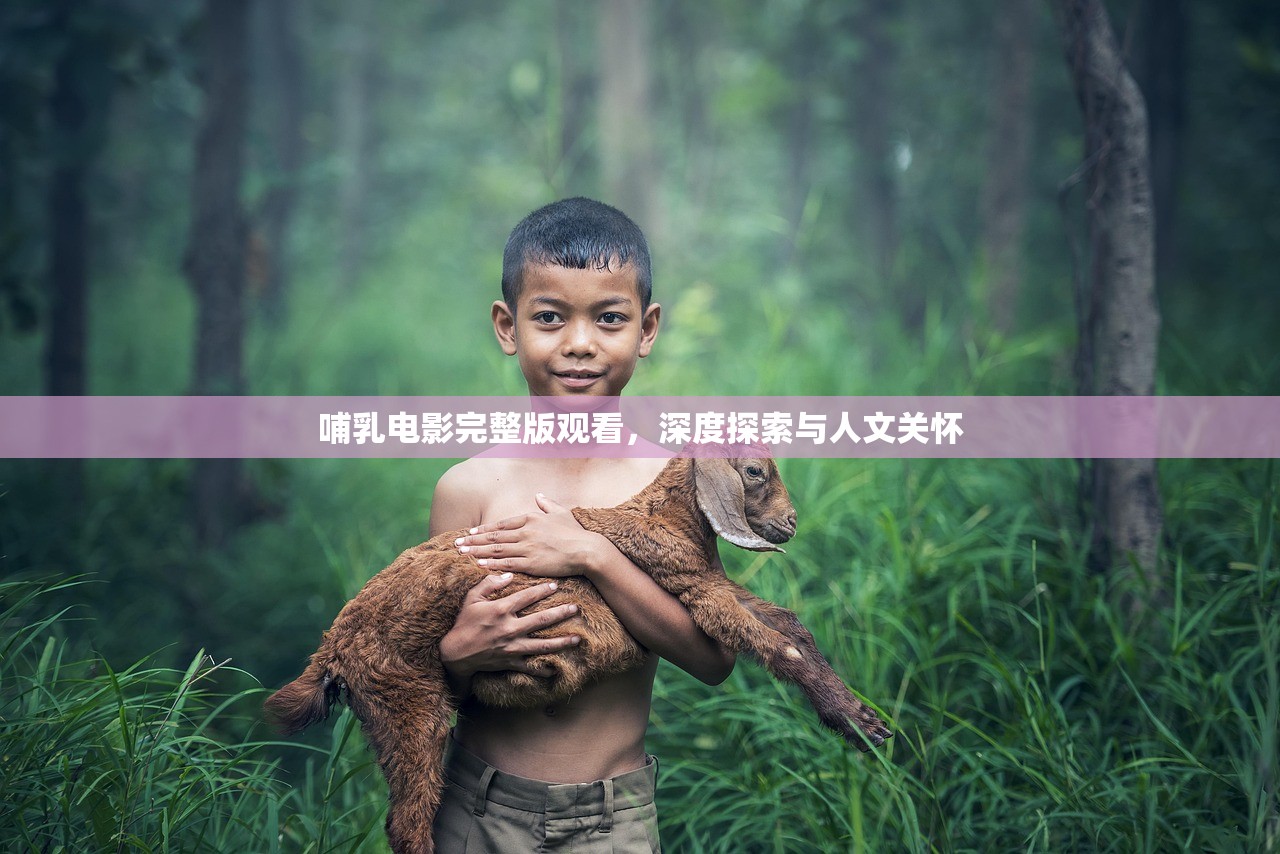 哺乳电影完整版观看，深度探索与人文关怀