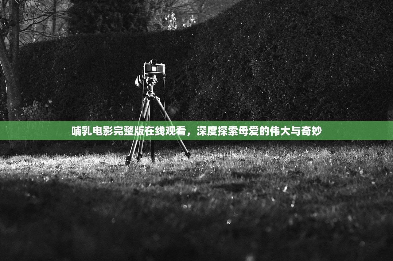 哺乳电影完整版在线观看，深度探索母爱的伟大与奇妙